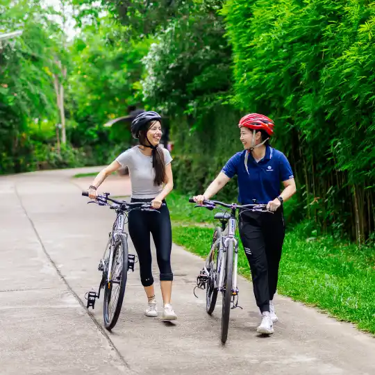Drug and Alcohol Rehab in Thailand