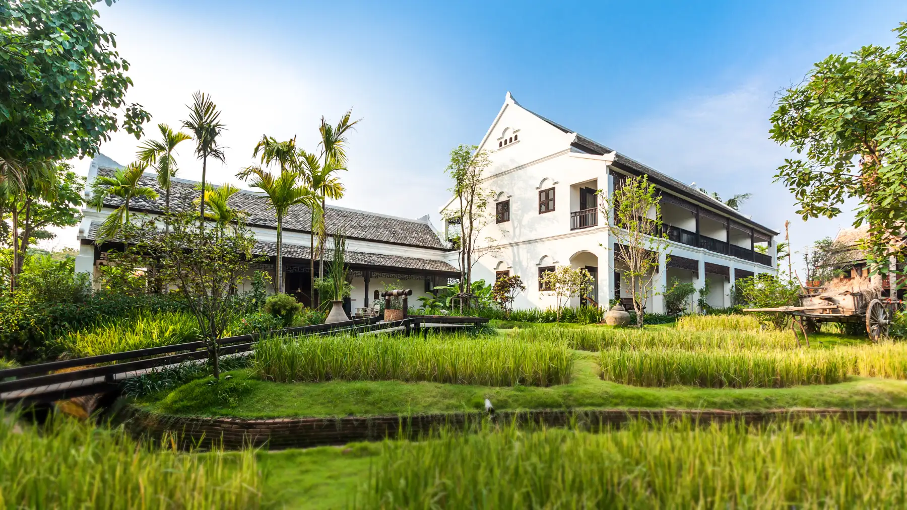 About The Cabin Rehab Thailand | Our Story & Leadership